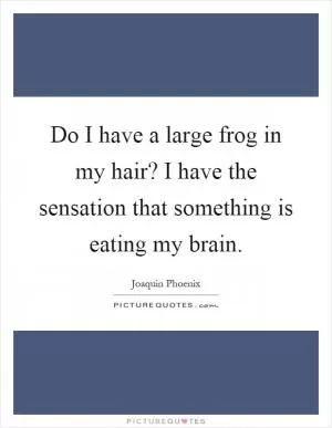 Do I have a large frog in my hair? I have the sensation that something is eating my brain Picture Quote #1