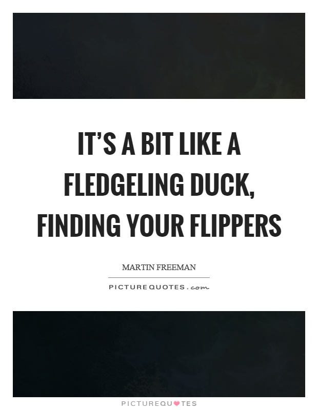 It's a bit like a fledgeling duck, finding your flippers Picture Quote #1