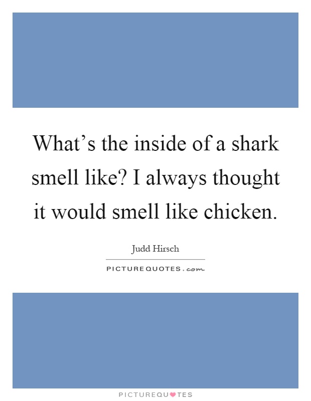 What's the inside of a shark smell like? I always thought it would smell like chicken Picture Quote #1