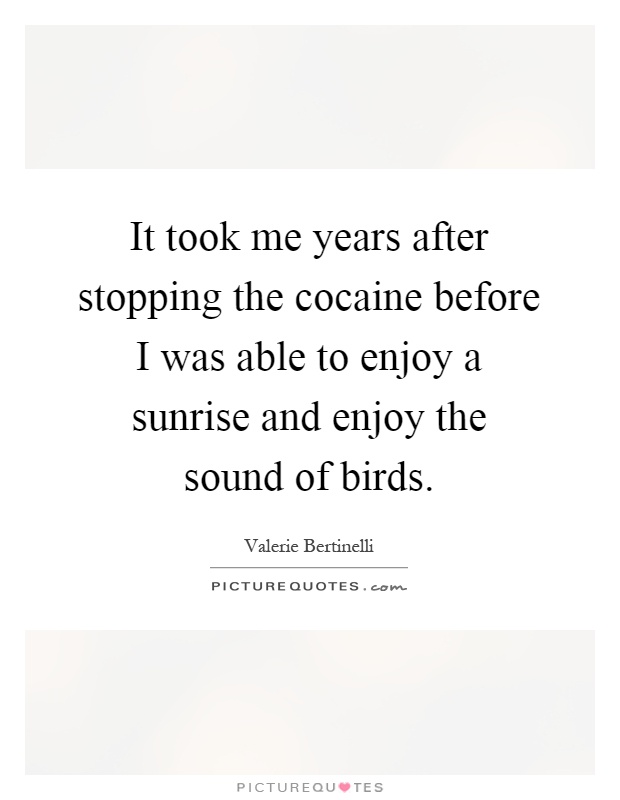 It took me years after stopping the cocaine before I was able to enjoy a sunrise and enjoy the sound of birds Picture Quote #1