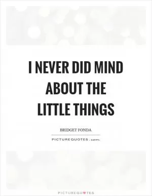 I never did mind about the little things Picture Quote #1