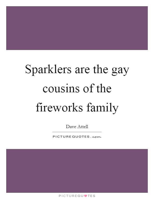 Sparklers are the gay cousins of the fireworks family Picture Quote #1