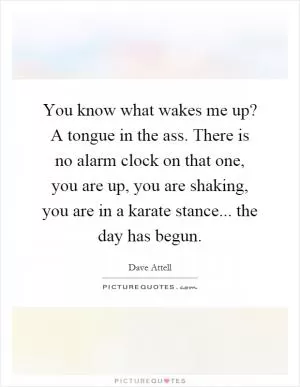 You know what wakes me up? A tongue in the ass. There is no alarm clock on that one, you are up, you are shaking, you are in a karate stance... the day has begun Picture Quote #1