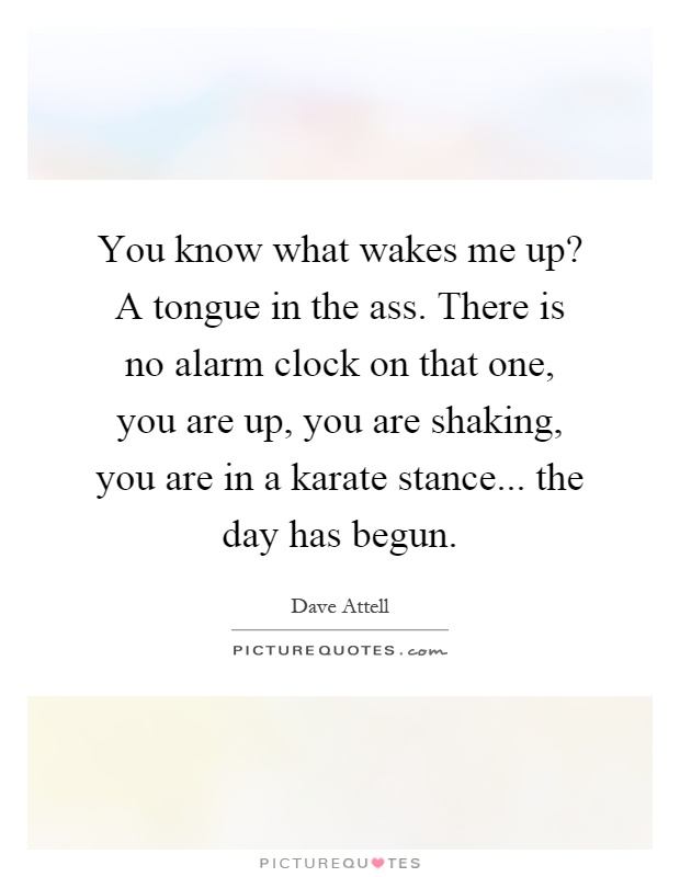 You know what wakes me up? A tongue in the ass. There is no alarm clock on that one, you are up, you are shaking, you are in a karate stance... the day has begun Picture Quote #1