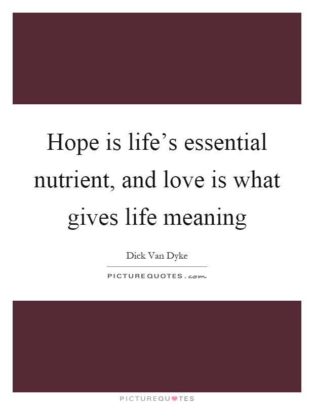 Hope is life's essential nutrient, and love is what gives life meaning Picture Quote #1