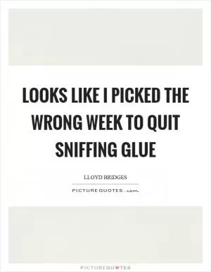 Looks like I picked the wrong week to quit sniffing glue Picture Quote #1