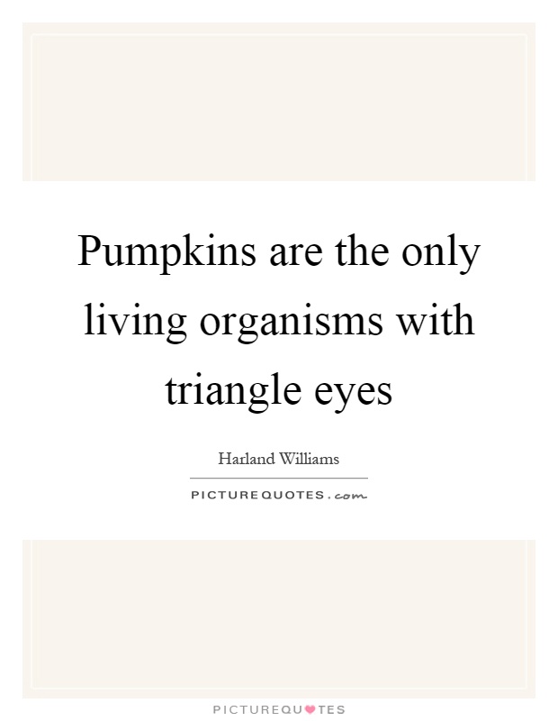 Pumpkins are the only living organisms with triangle eyes Picture Quote #1