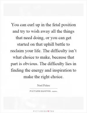 You can curl up in the fetal position and try to wish away all the things that need doing, or you can get started on that uphill battle to reclaim your life. The difficulty isn’t what choice to make, because that part is obvious. The difficulty lies in finding the energy and inspiration to make the right choice Picture Quote #1