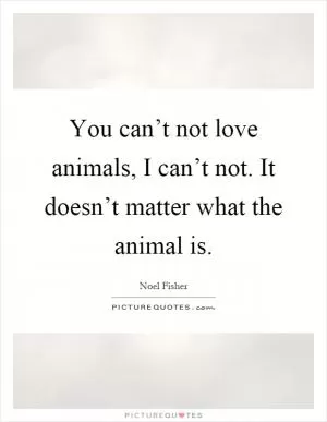You can’t not love animals, I can’t not. It doesn’t matter what the animal is Picture Quote #1