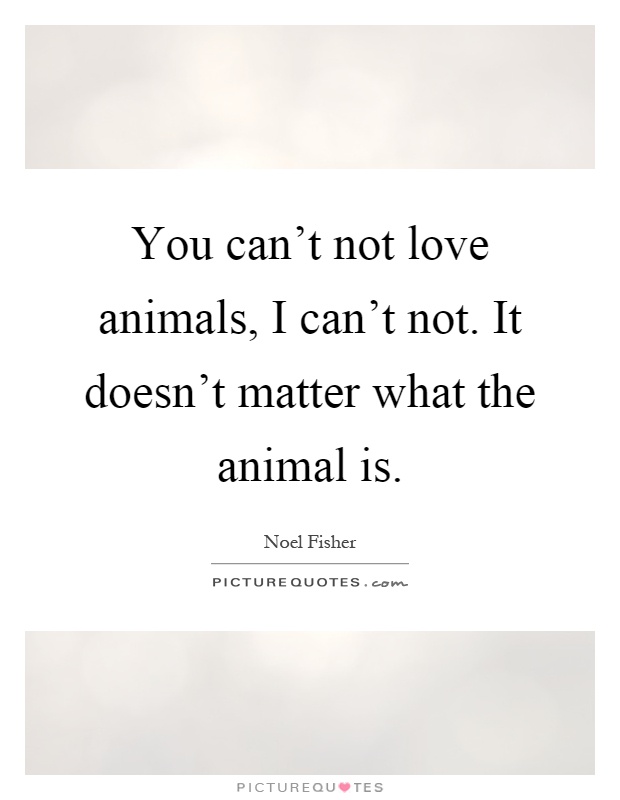 You can't not love animals, I can't not. It doesn't matter what the animal is Picture Quote #1