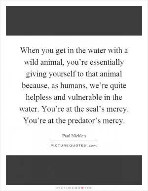 When you get in the water with a wild animal, you’re essentially giving yourself to that animal because, as humans, we’re quite helpless and vulnerable in the water. You’re at the seal’s mercy. You’re at the predator’s mercy Picture Quote #1