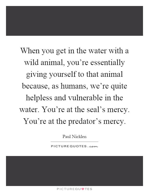 When you get in the water with a wild animal, you're essentially giving yourself to that animal because, as humans, we're quite helpless and vulnerable in the water. You're at the seal's mercy. You're at the predator's mercy Picture Quote #1