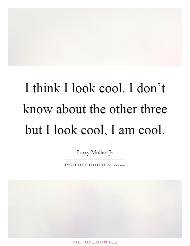 I think I look cool. I don't know about the other three but I look cool, I am cool Picture Quote #1