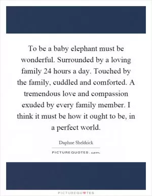 To be a baby elephant must be wonderful. Surrounded by a loving family 24 hours a day. Touched by the family, cuddled and comforted. A tremendous love and compassion exuded by every family member. I think it must be how it ought to be, in a perfect world Picture Quote #1