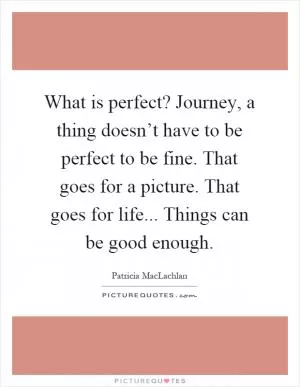What is perfect? Journey, a thing doesn’t have to be perfect to be fine. That goes for a picture. That goes for life... Things can be good enough Picture Quote #1