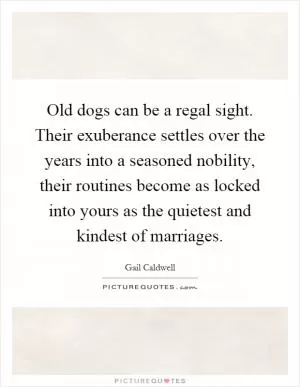 Old dogs can be a regal sight. Their exuberance settles over the years into a seasoned nobility, their routines become as locked into yours as the quietest and kindest of marriages Picture Quote #1