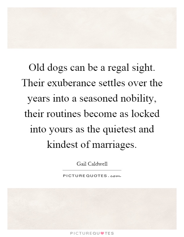 Old dogs can be a regal sight. Their exuberance settles over the years into a seasoned nobility, their routines become as locked into yours as the quietest and kindest of marriages Picture Quote #1