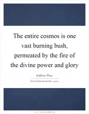 The entire cosmos is one vast burning bush, permeated by the fire of the divine power and glory Picture Quote #1