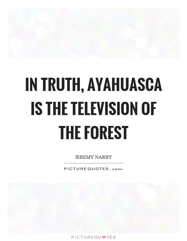 In truth, ayahuasca is the television of the forest Picture Quote #1