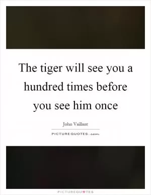 The tiger will see you a hundred times before you see him once Picture Quote #1