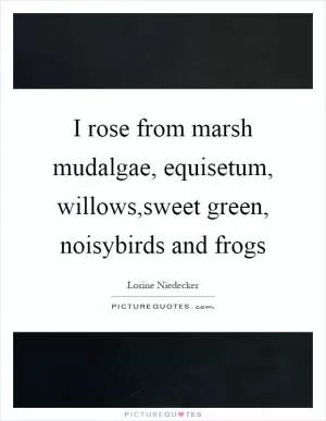 I rose from marsh mudalgae, equisetum, willows,sweet green, noisybirds and frogs Picture Quote #1