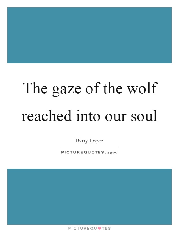 The gaze of the wolf reached into our soul Picture Quote #1