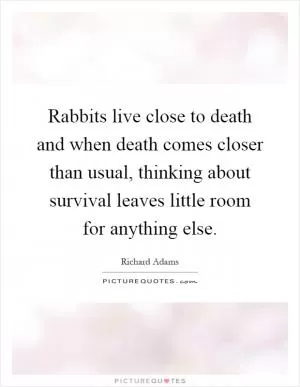 Rabbits live close to death and when death comes closer than usual, thinking about survival leaves little room for anything else Picture Quote #1