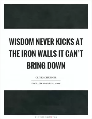 Wisdom never kicks at the iron walls it can’t bring down Picture Quote #1