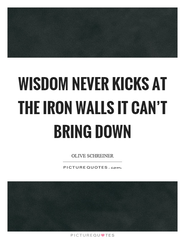 Wisdom never kicks at the iron walls it can't bring down Picture Quote #1