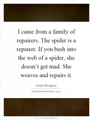 I came from a family of repairers. The spider is a repairer. If you bash into the web of a spider, she doesn’t get mad. She weaves and repairs it Picture Quote #1