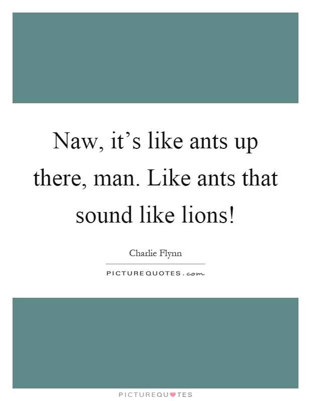 Naw, it's like ants up there, man. Like ants that sound like lions! Picture Quote #1