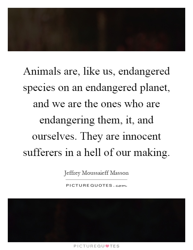 Animals are, like us, endangered species on an endangered planet, and we are the ones who are endangering them, it, and ourselves. They are innocent sufferers in a hell of our making Picture Quote #1