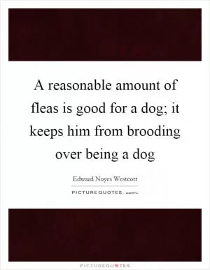 A reasonable amount of fleas is good for a dog; it keeps him from brooding over being a dog Picture Quote #1