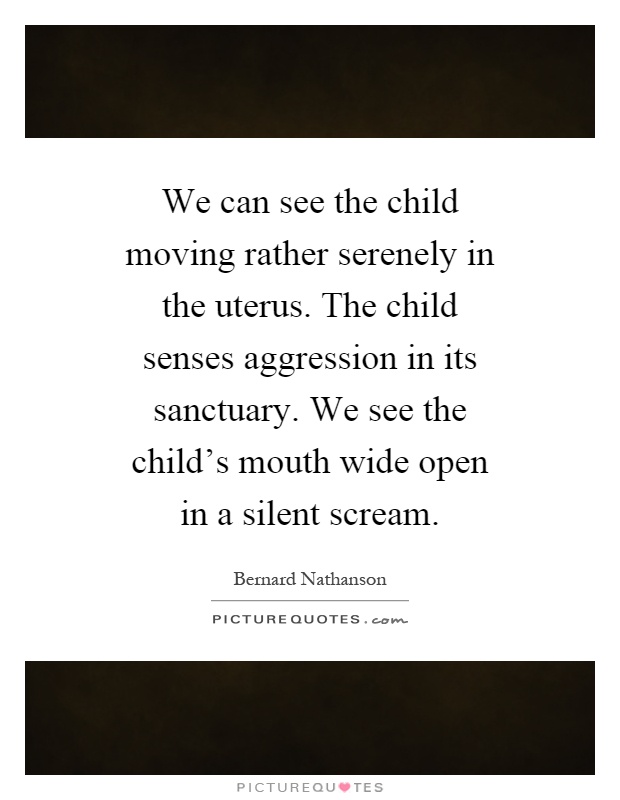 We can see the child moving rather serenely in the uterus. The child senses aggression in its sanctuary. We see the child's mouth wide open in a silent scream Picture Quote #1