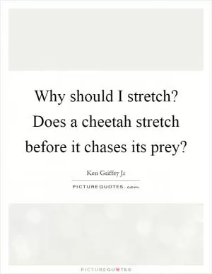 Why should I stretch? Does a cheetah stretch before it chases its prey? Picture Quote #1