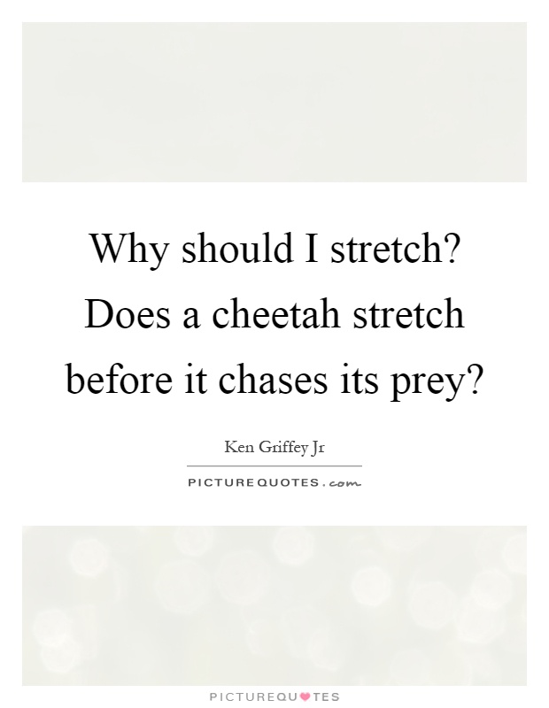 Why should I stretch? Does a cheetah stretch before it chases its prey? Picture Quote #1