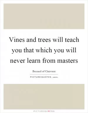 Vines and trees will teach you that which you will never learn from masters Picture Quote #1