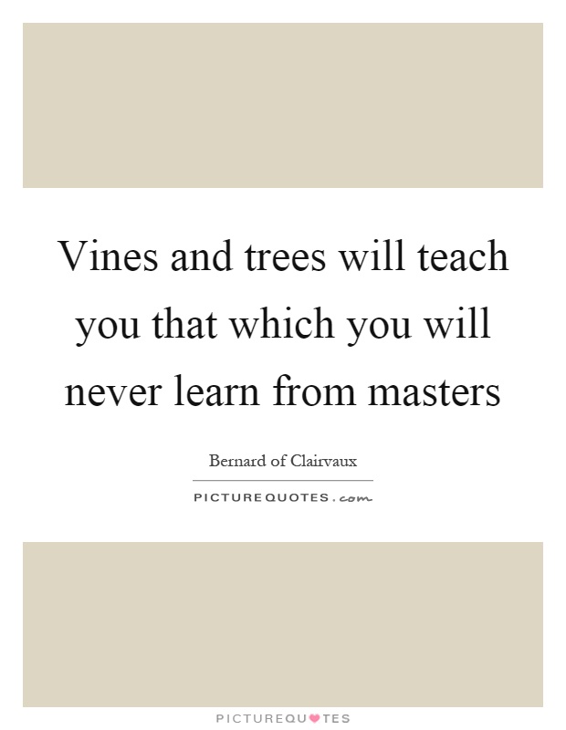 Vines and trees will teach you that which you will never learn from masters Picture Quote #1