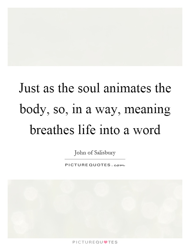 Just as the soul animates the body, so, in a way, meaning breathes life into a word Picture Quote #1