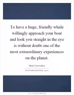To have a huge, friendly whale willingly approach your boat and look you straight in the eye is without doubt one of the most extraordinary experiences on the planet Picture Quote #1