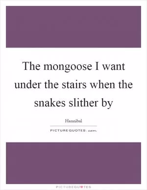 The mongoose I want under the stairs when the snakes slither by Picture Quote #1