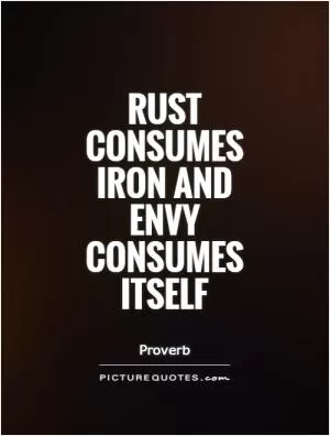 Rust consumes iron and envy consumes itself Picture Quote #1