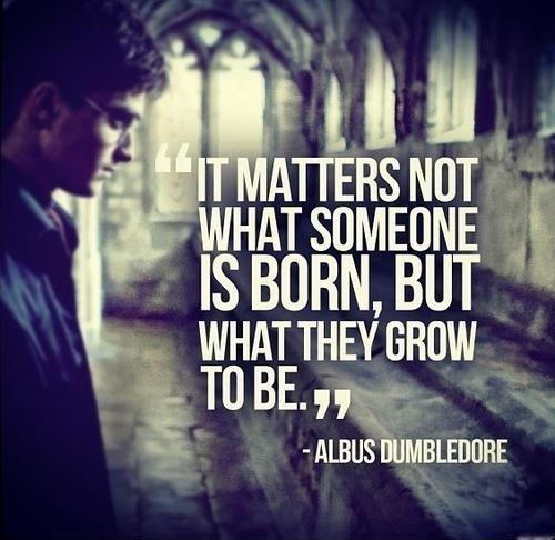 It matters not what someone is born, but what they grow to be Picture Quote #1