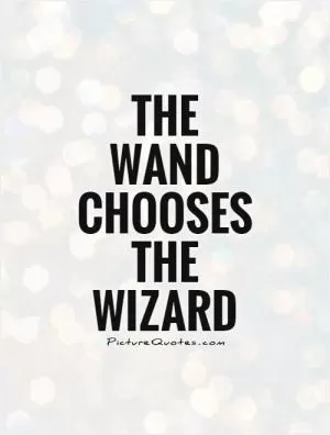 The wand chooses the wizard Picture Quote #1