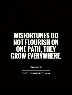 Misfortunes do not flourish on one path, they grow everywhere Picture Quote #1