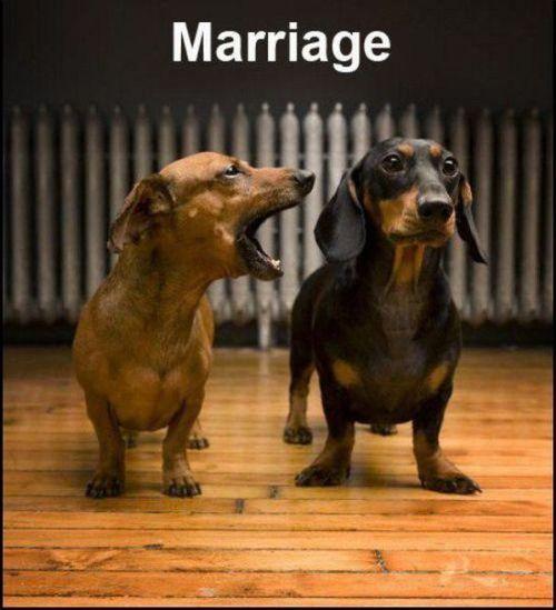 Marriage Picture Quote #1