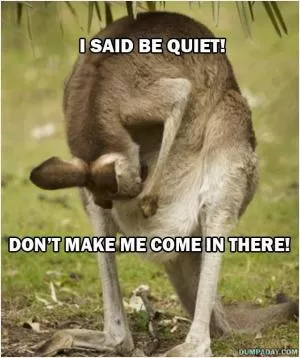 I said be quiet! Don't make me come in there Picture Quote #1