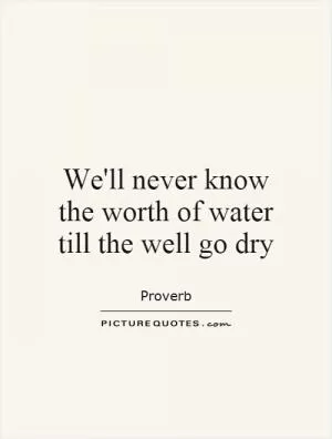 We'll never know the worth of water till the well go dry Picture Quote #1
