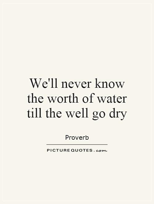 We'll never know the worth of water till the well go dry Picture Quote #1