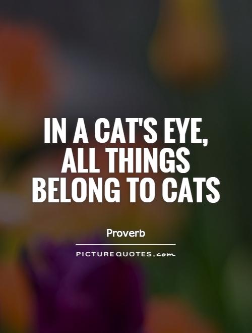 In a cat's eye, all things belong to cats Picture Quote #1